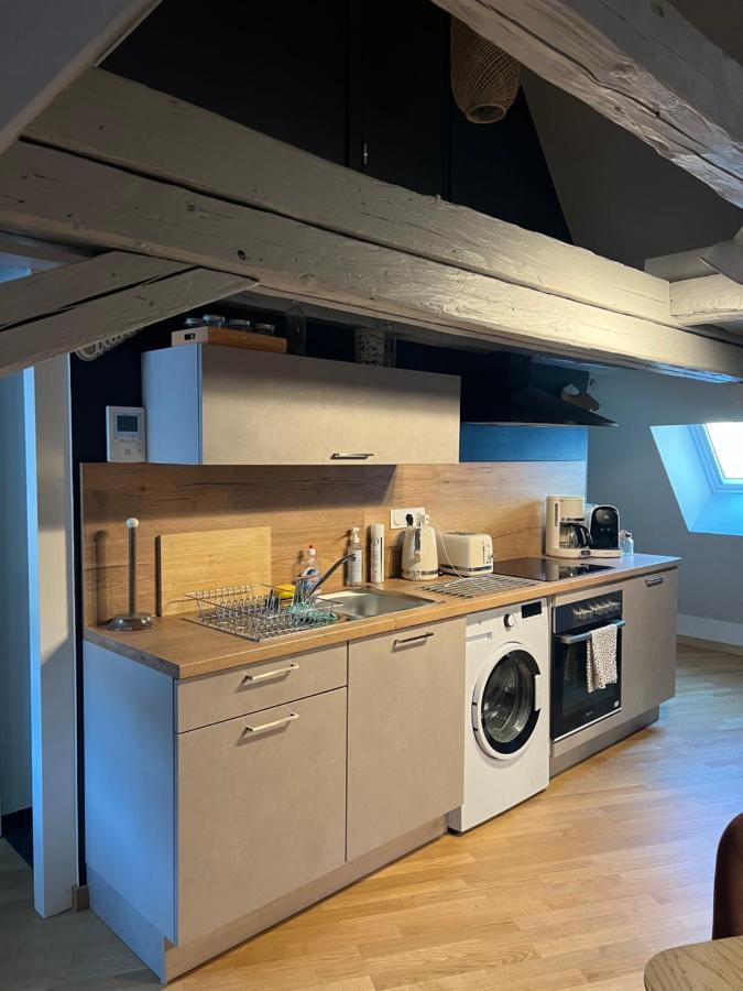 Ferienwohnung Duplex Atypique Au Coeur De Mülhausen Exterior foto