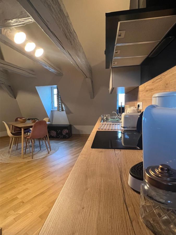 Ferienwohnung Duplex Atypique Au Coeur De Mülhausen Exterior foto